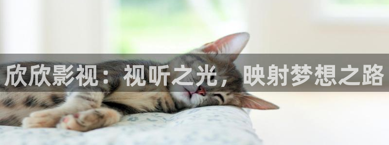紅葉影視官網：欣欣影視：視聽之光，映射夢想之路