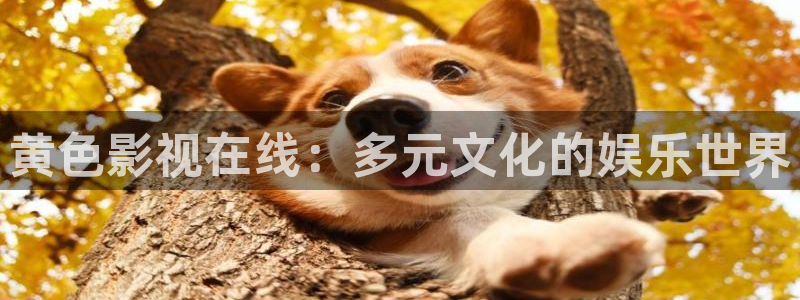 電影紅葉：黃色影視在線：多元文化的娛樂世界